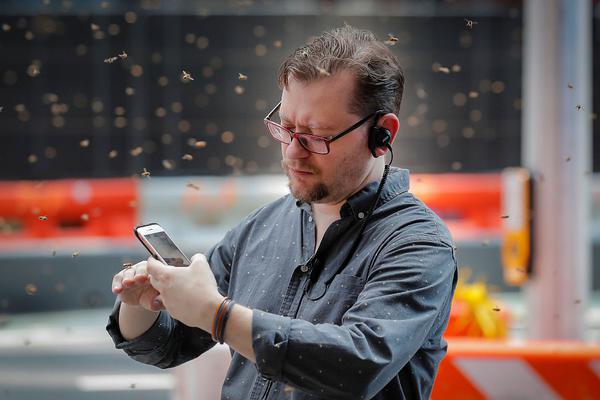 今年“前11”個月洋山港各碼頭完成集裝箱吞吐量同比上升9.7%