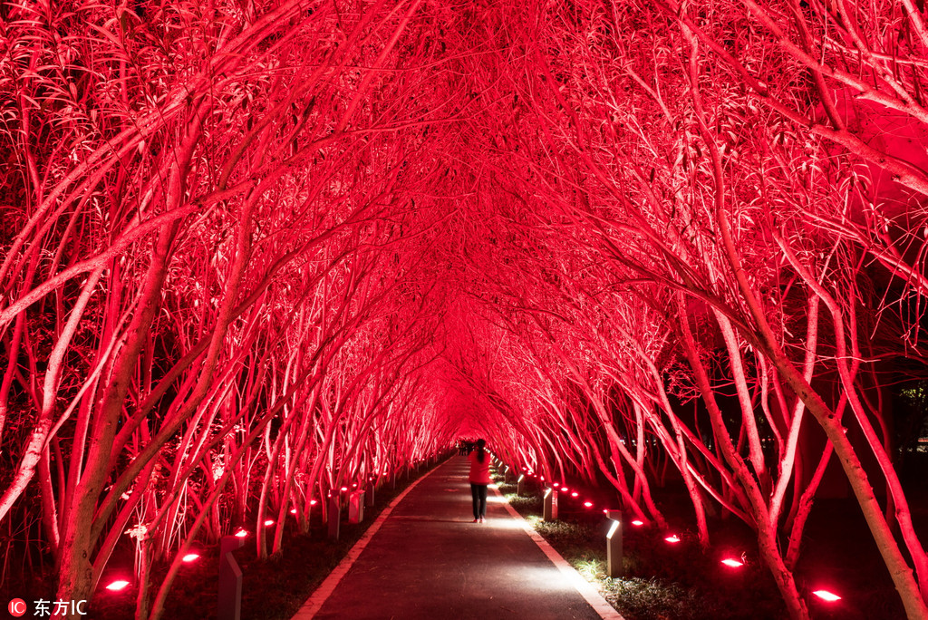 【在華爾】街唱空2026年油價之際 歐佩克仍堅守“需求穩(wěn)定增長”樂觀敘事