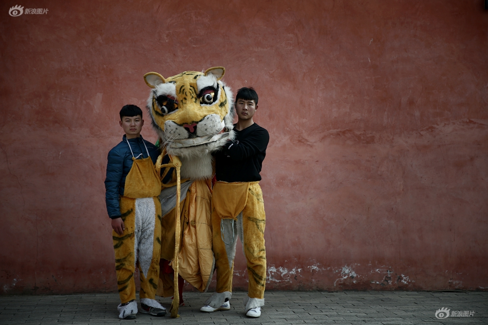 《龍虎榜機(jī)》構(gòu)新動(dòng)向:凈買入14股 凈賣出17股