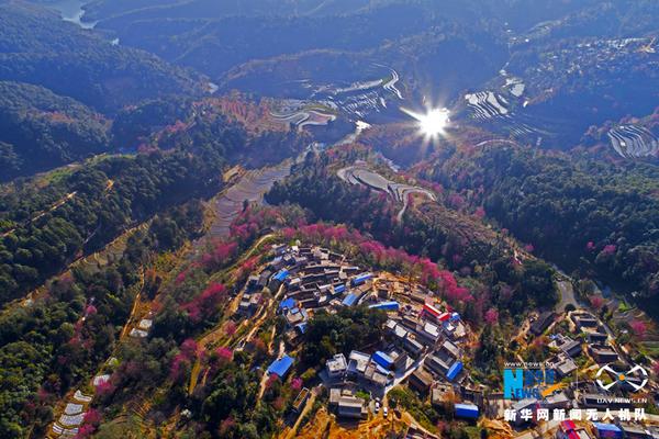 演員何晴告別儀式在京舉行 【眾人送別】