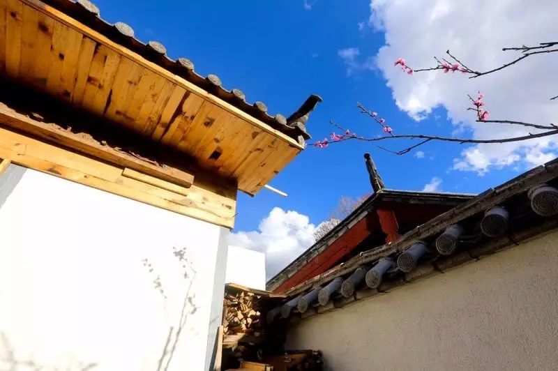 束河桃花塢，在茶馬古道浮生清閑陪父母慢慢變