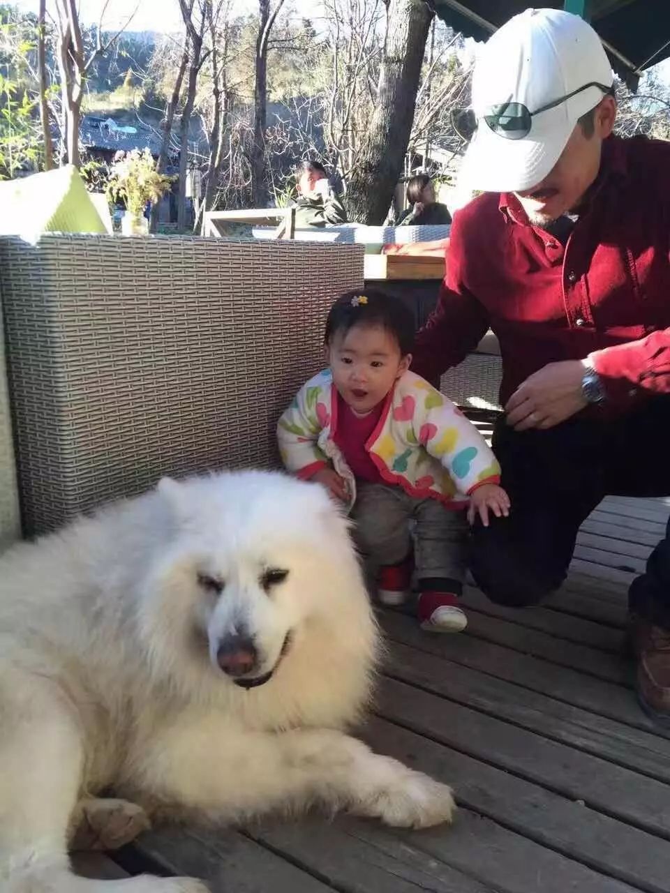 束河桃花塢，在茶馬古道浮生清閑陪父母慢慢變