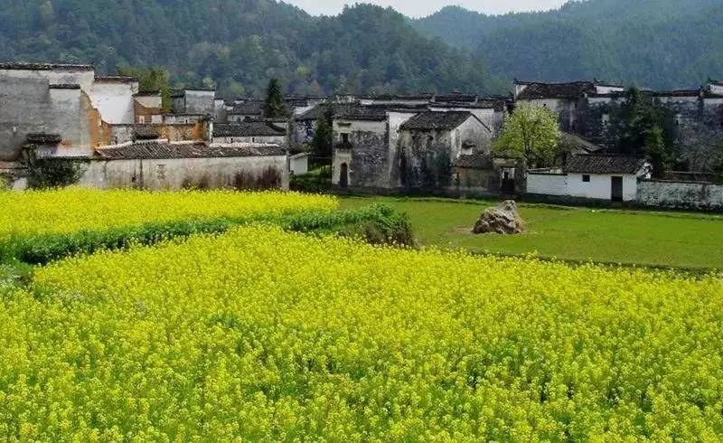 8家黃山腳下最美民宿，在青山田野享受歸園田居