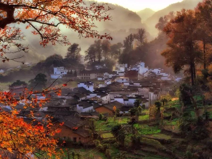 8家黃山腳下最美民宿，在青山田野享受歸園田居