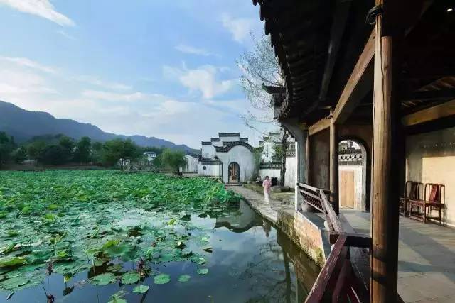8家黃山腳下最美民宿，在青山田野享受歸園田居
