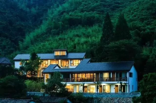 梧桐小筑，一幅靜靜舒展的水墨畫卷