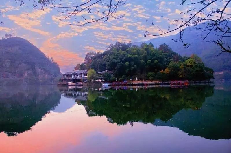 梧桐小筑，一幅靜靜舒展的水墨畫卷