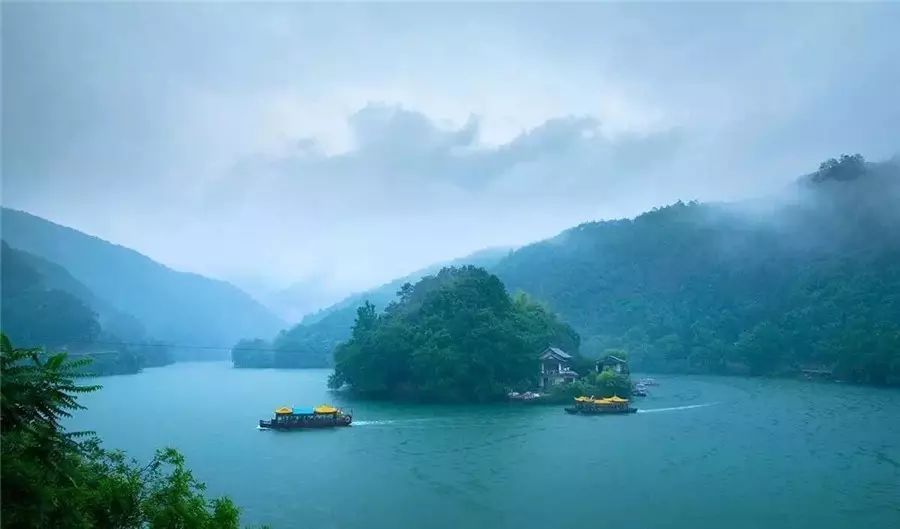 梧桐小筑，一幅靜靜舒展的水墨畫卷