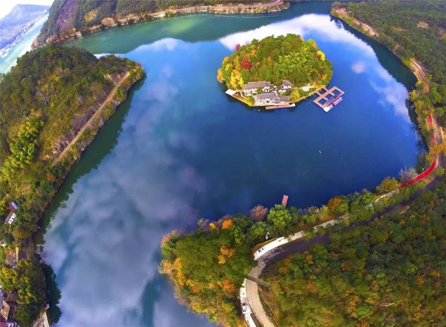 梧桐小筑，一幅靜靜舒展的水墨畫卷