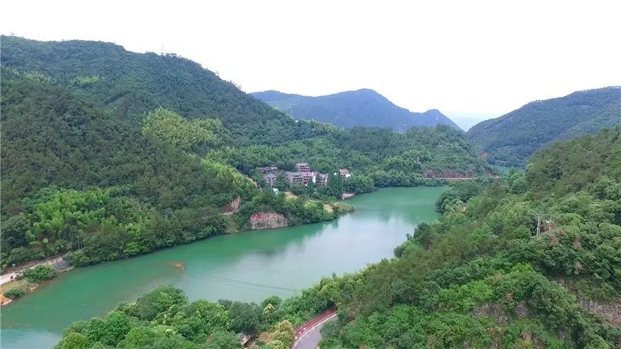 梧桐小筑，一幅靜靜舒展的水墨畫卷