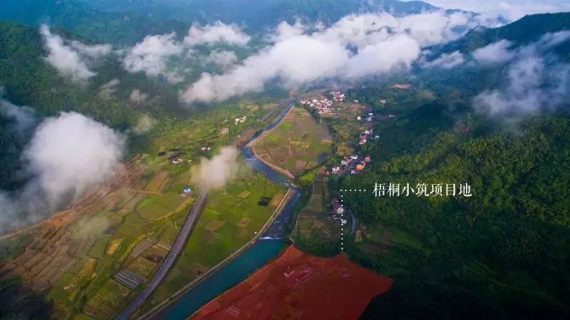 梧桐小筑，一幅靜靜舒展的水墨畫卷