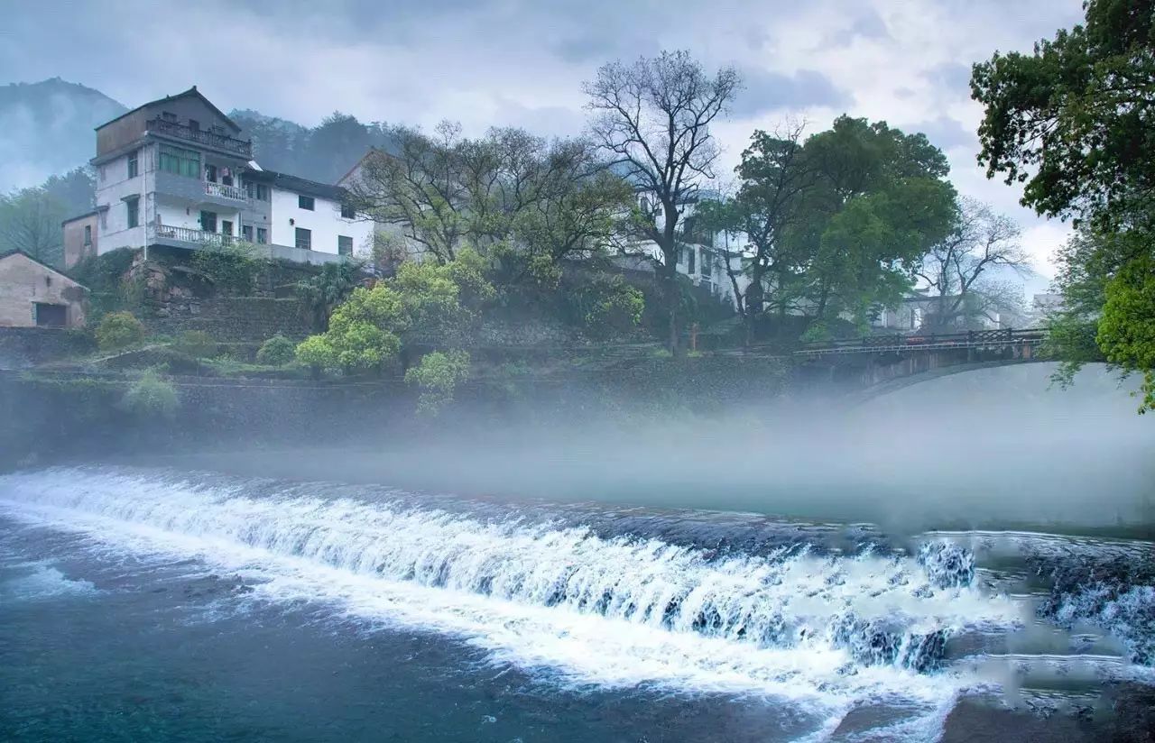 梧桐小筑，一幅靜靜舒展的水墨畫卷