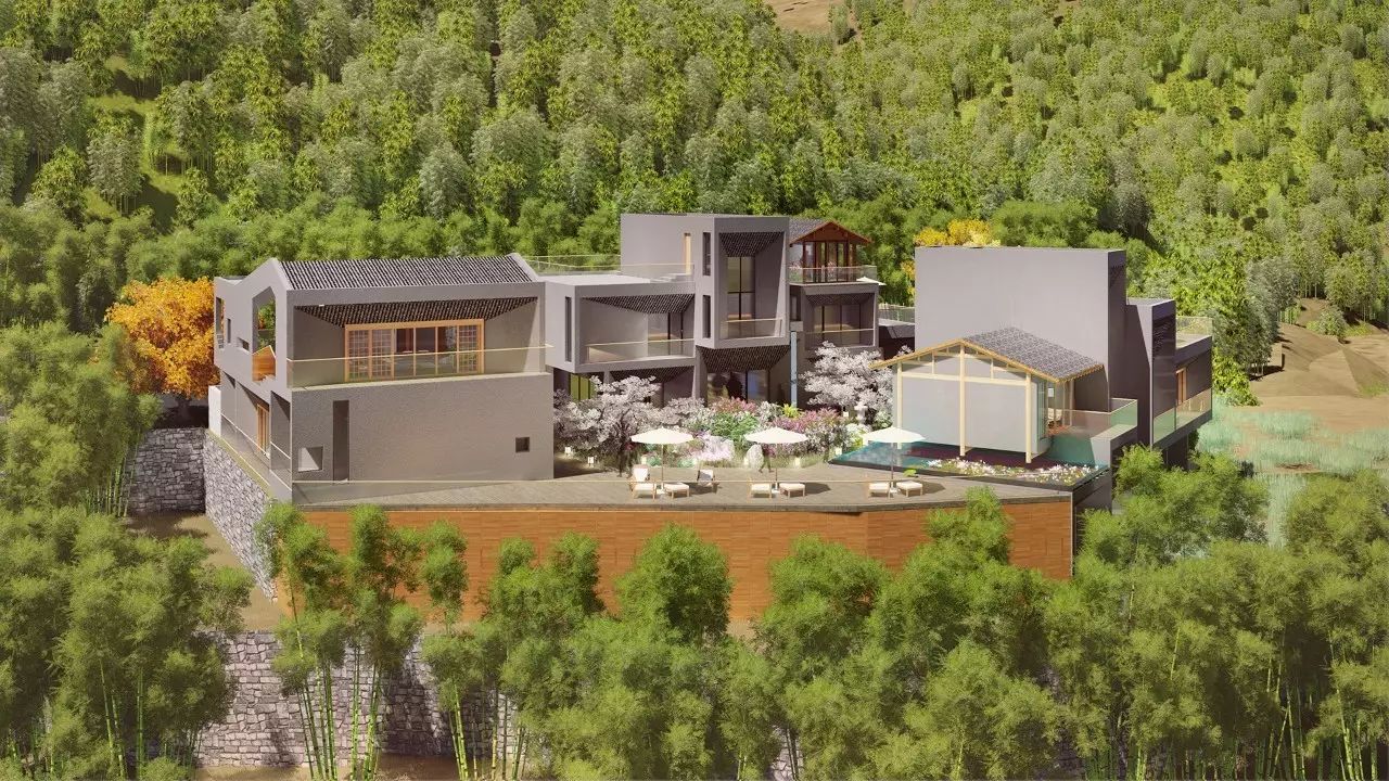 梧桐小筑，一幅靜靜舒展的水墨畫卷