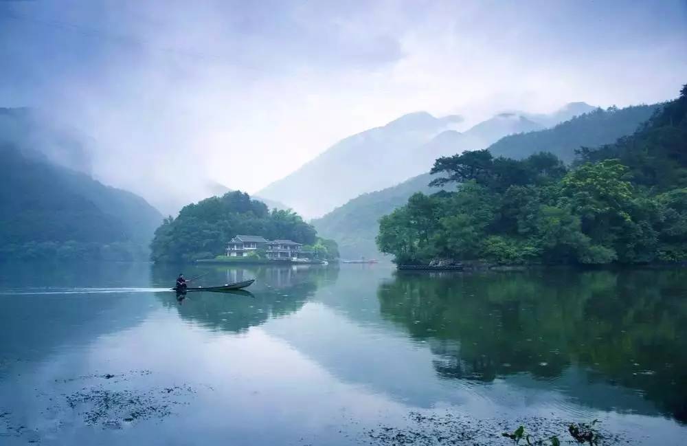 梧桐小筑，一幅靜靜舒展的水墨畫卷