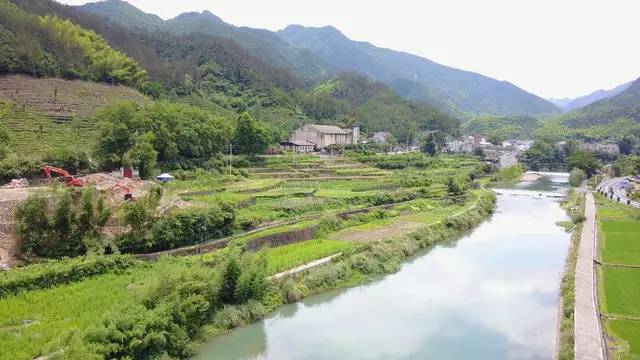 梧桐小筑，一幅靜靜舒展的水墨畫卷