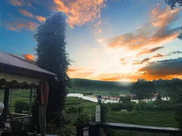 瓜洲云裳山村，春風(fēng)又綠江岸春