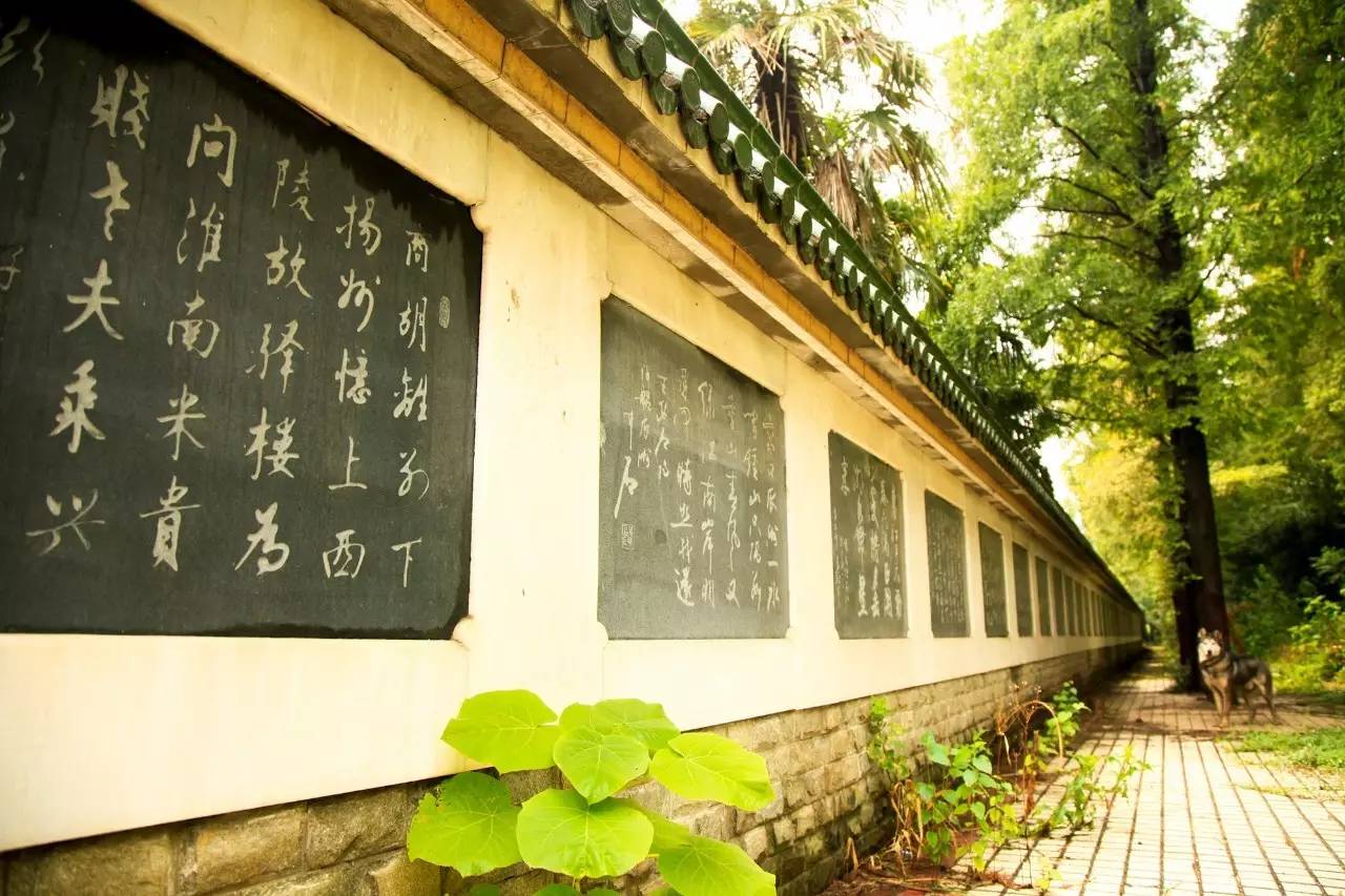 瓜洲云裳山村，春風(fēng)又綠江岸春