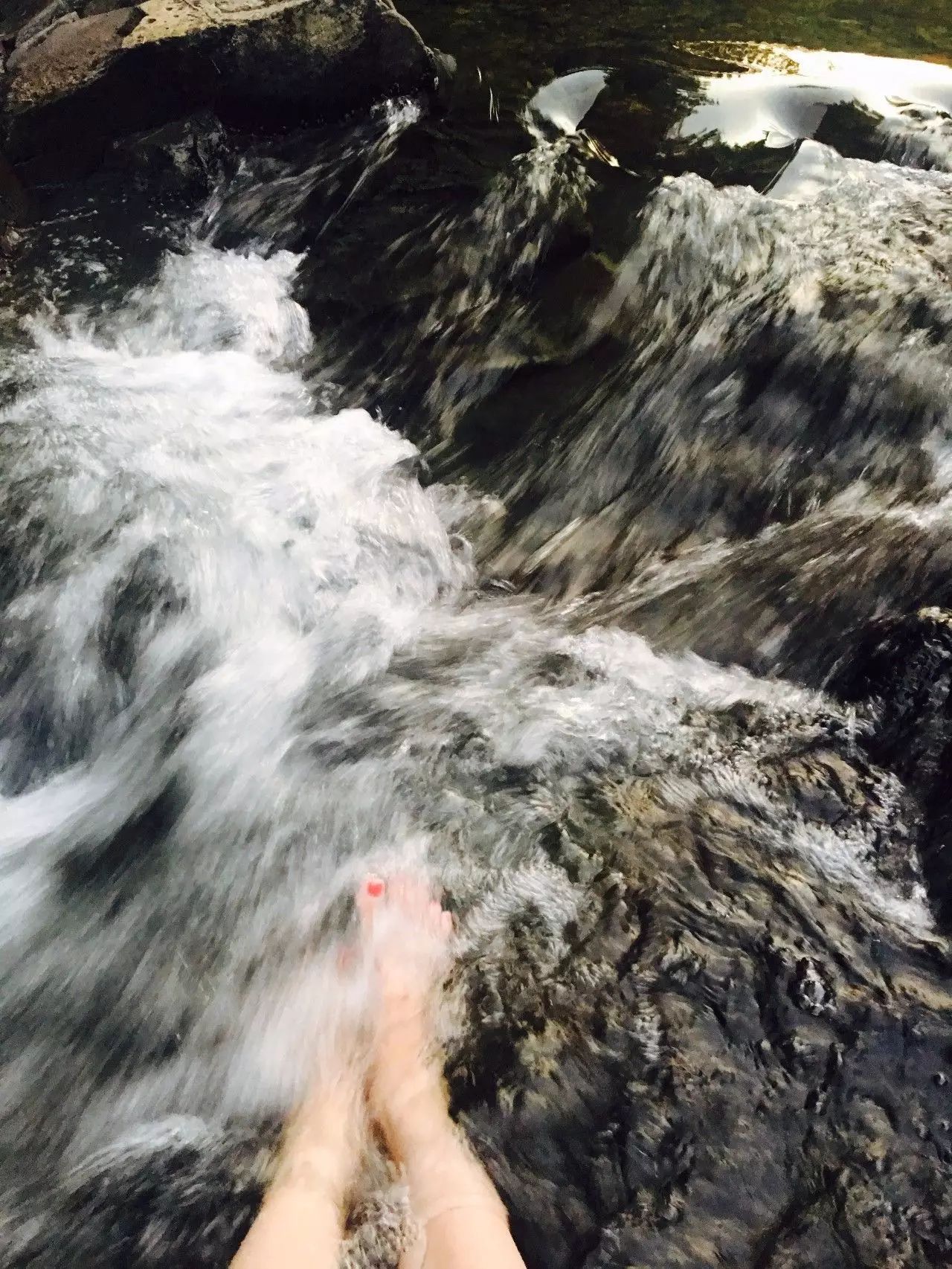 莫干山悠然九希，面朝竹海背向茶山的避暑圣地