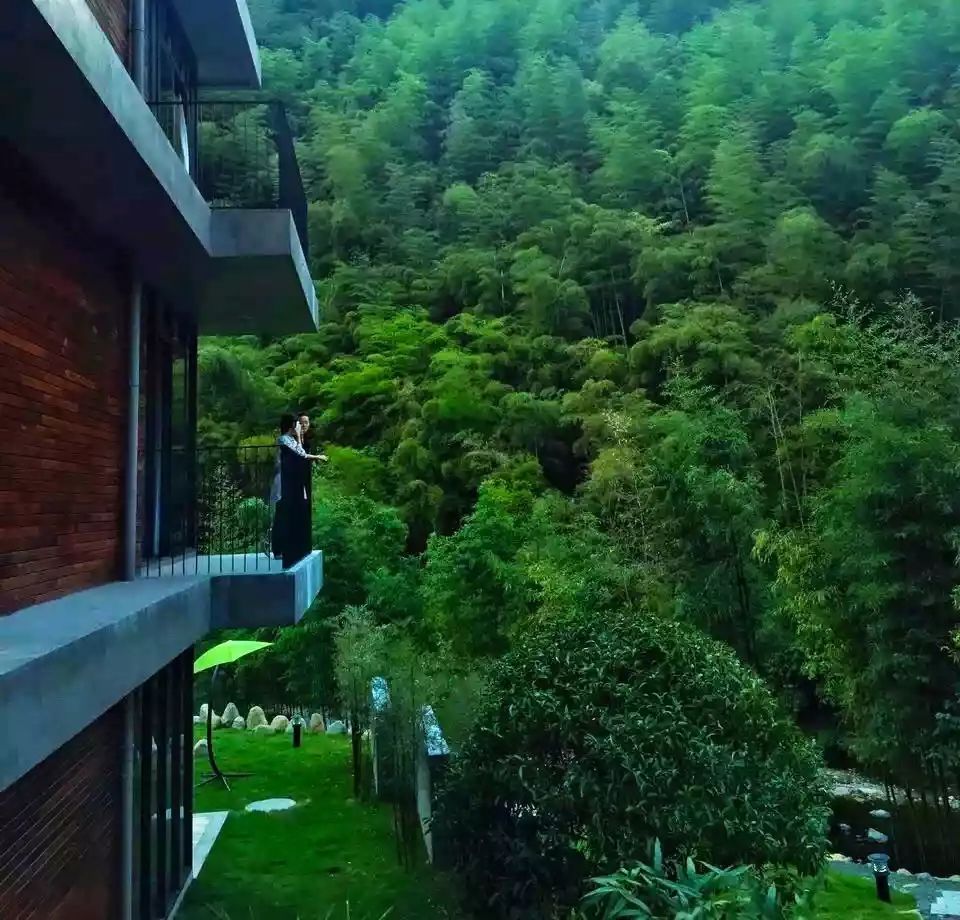 莫干山悠然九希，面朝竹海背向茶山的避暑圣地