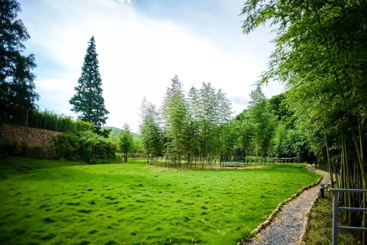 莫干山悠然九希，面朝竹海背向茶山的避暑圣地