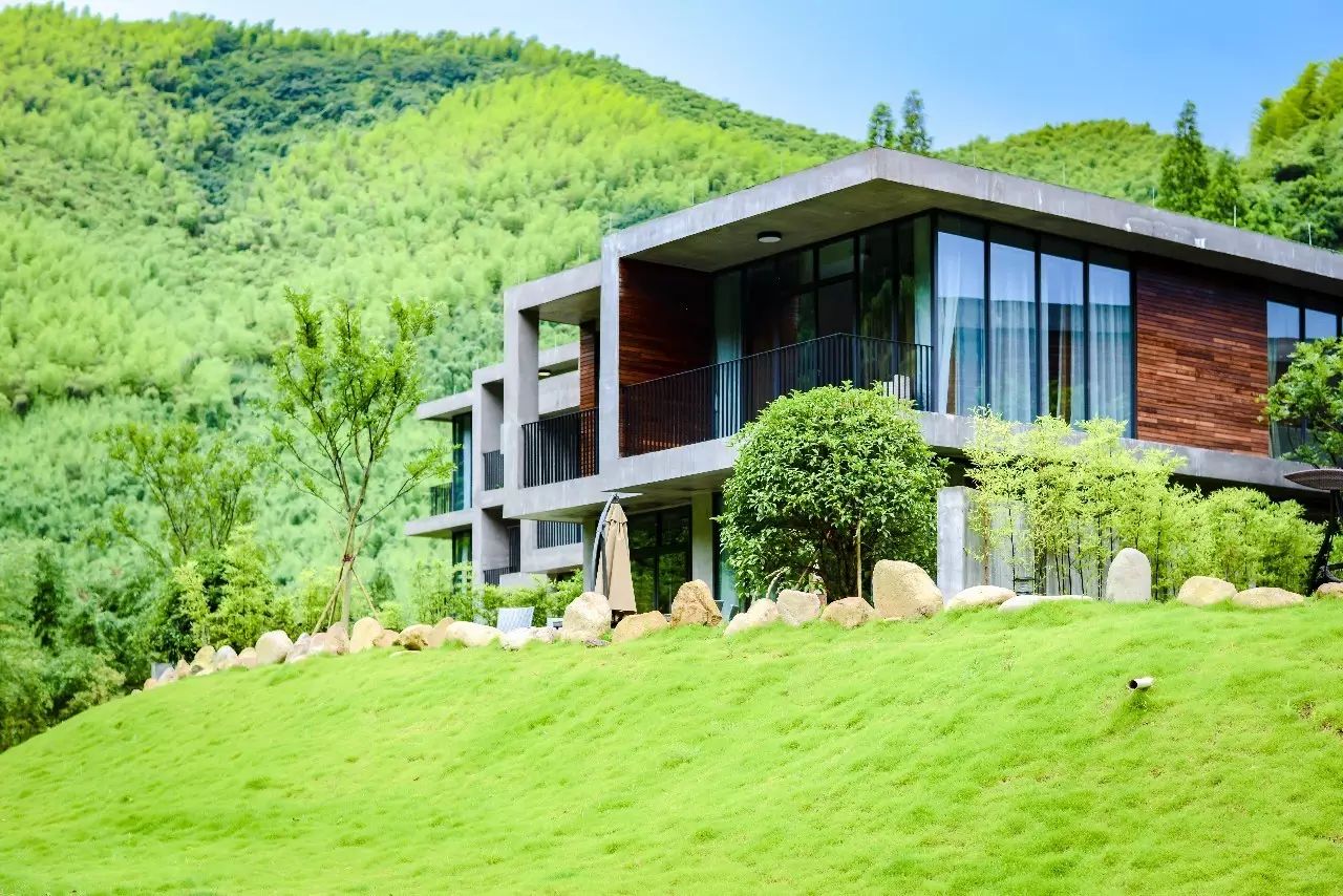 莫干山悠然九希，面朝竹海背向茶山的避暑圣地