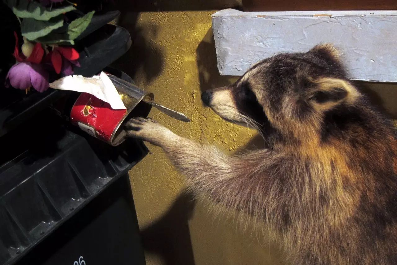 多村一號，在海外住進小別墅慢條思理地生活