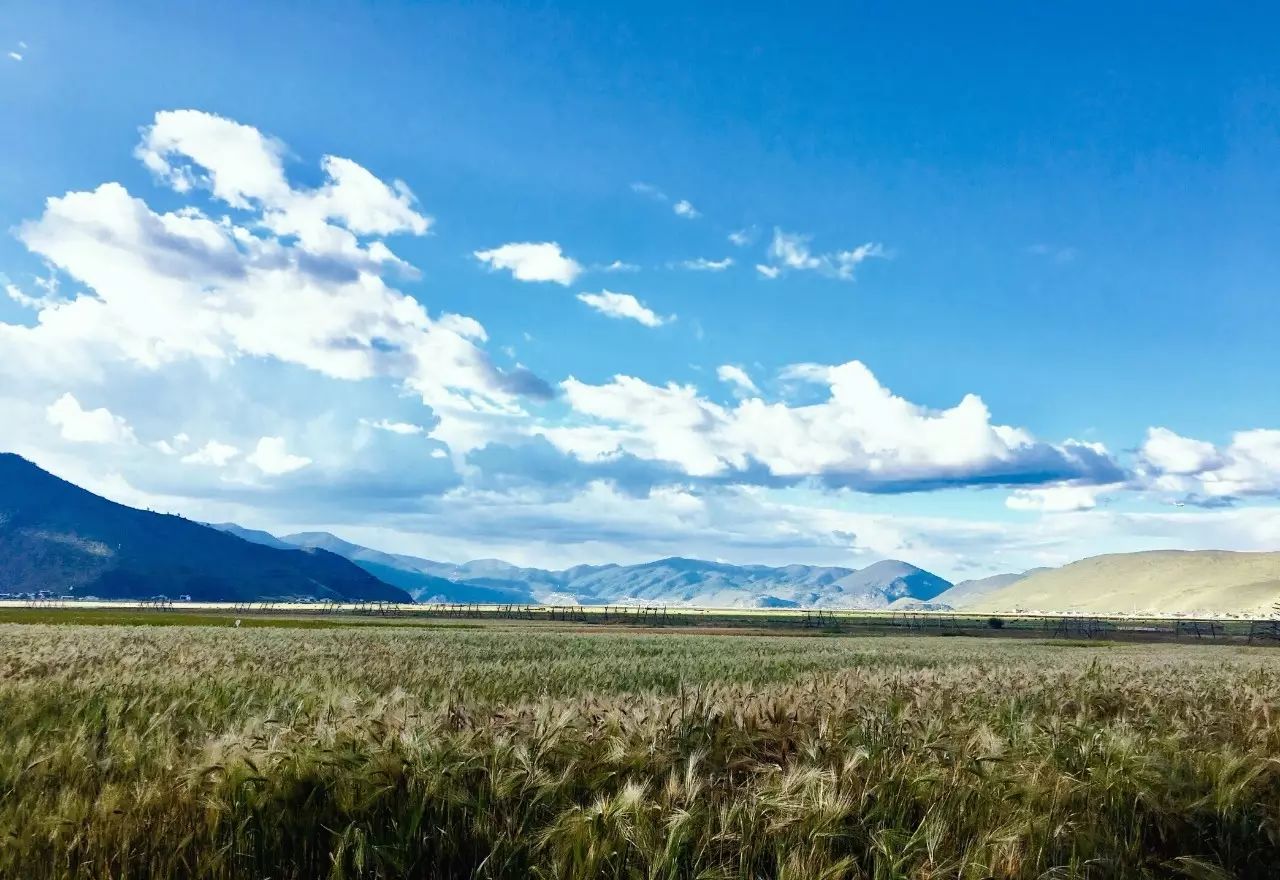 香格里拉薩洛頤度假酒店，以上帝視角看納帕海