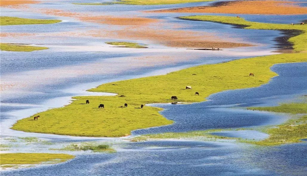 香格里拉薩洛頤度假酒店，以上帝視角看納帕海