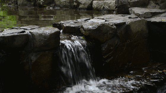 美豪西湖店，枕著西湖的美景入眠