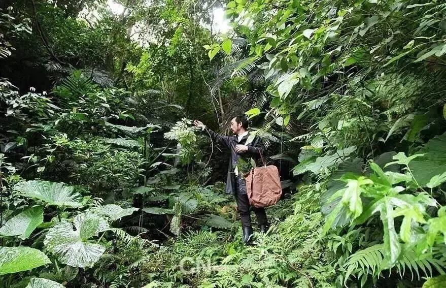 福佳“奇趣花園市集”，體驗(yàn)大自然的美好