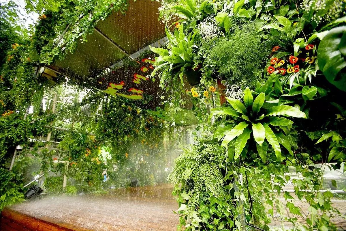 福佳“奇趣花園市集”，體驗大自然的美好