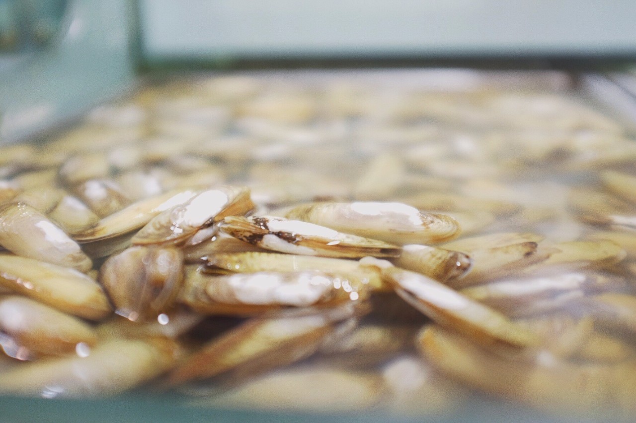 心湖·悅空間，用民宿的方式愛著我的小島生活