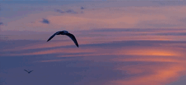 心湖·悅空間，用民宿的方式愛著我的小島生活