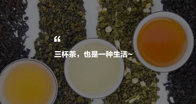 烏龍先生，用心做好茶發(fā)揚博大精深的茶文化