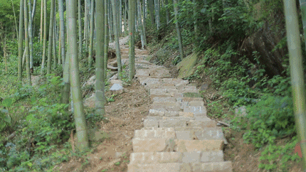 珀洱半坡，在竹海樹林之間盡享山間好風(fēng)光