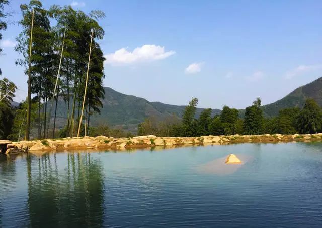 珀洱半坡，在竹海樹林之間盡享山間好風(fēng)光