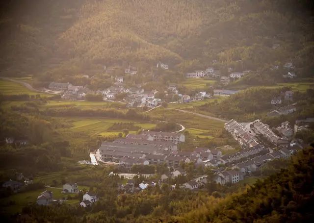 珀洱半坡，在竹海樹林之間盡享山間好風(fēng)光