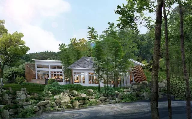 珀洱半坡，在竹海樹林之間盡享山間好風(fēng)光