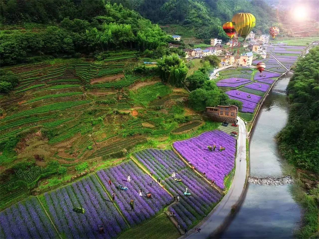 螞蟻尚墅，在山谷的花田美舍里生活