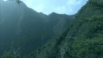 螞蟻尚墅，在山谷的花田美舍里生活