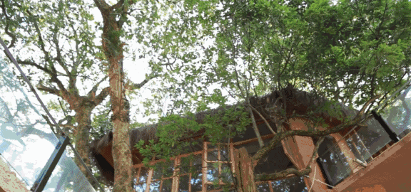 螞蟻尚墅，在山谷的花田美舍里生活