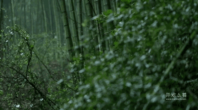 湖州嶺霧，在云霧之巔把自然搬進(jìn)屋內(nèi)