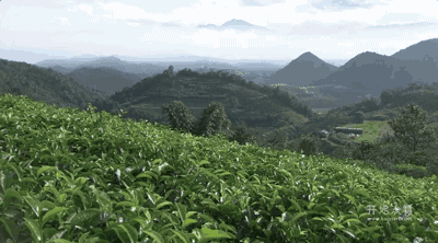 湖州嶺霧，在云霧之巔把自然搬進屋內(nèi)