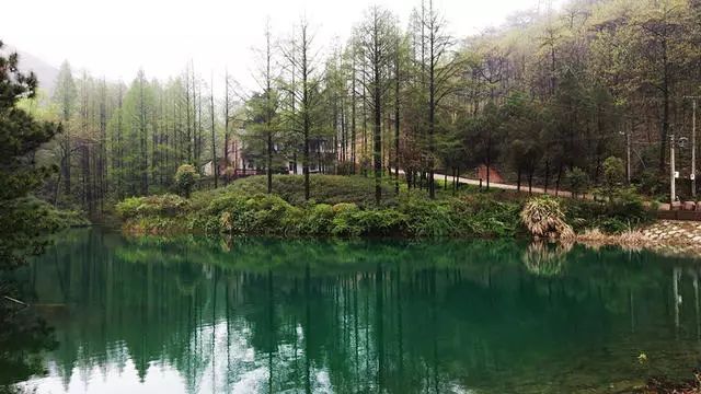 湖州嶺霧，在云霧之巔把自然搬進(jìn)屋內(nèi)