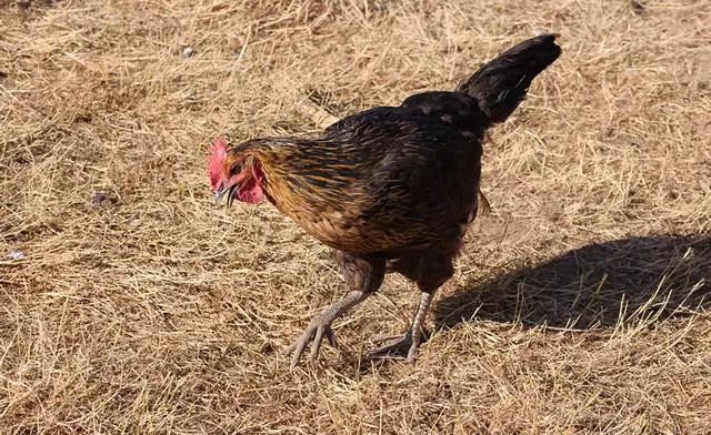 湖州嶺霧，在云霧之巔把自然搬進(jìn)屋內(nèi)