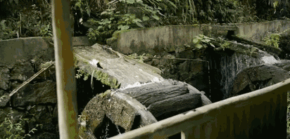 陌上·花溪堂，陌上花開笑顏傾城