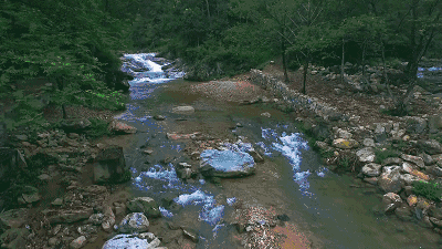 陌上·花溪堂，陌上花開笑顏傾城