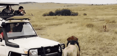 陌上·花溪堂，陌上花開笑顏傾城