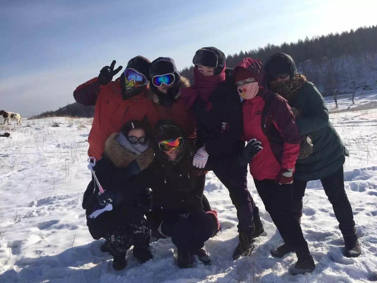 陌上·花溪堂，陌上花開笑顏傾城