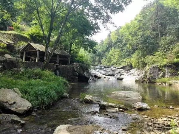 陌上·花溪堂，陌上花開笑顏傾城